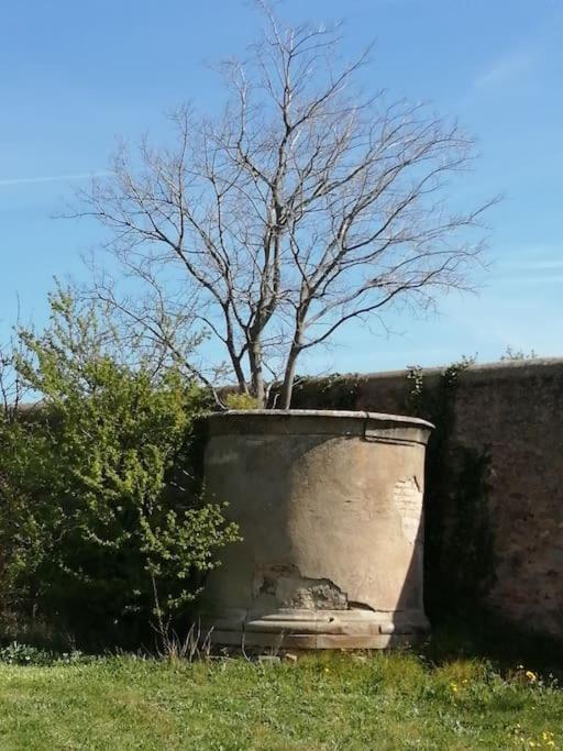 Le Soleil D Eugenie Appartement Dans Residence Avec Piscine Commune Pres De Carcassonne Olonzac Exterior photo