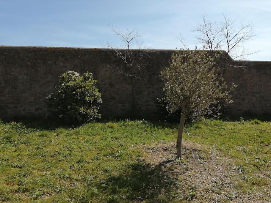 Le Soleil D Eugenie Appartement Dans Residence Avec Piscine Commune Pres De Carcassonne Olonzac Exterior photo